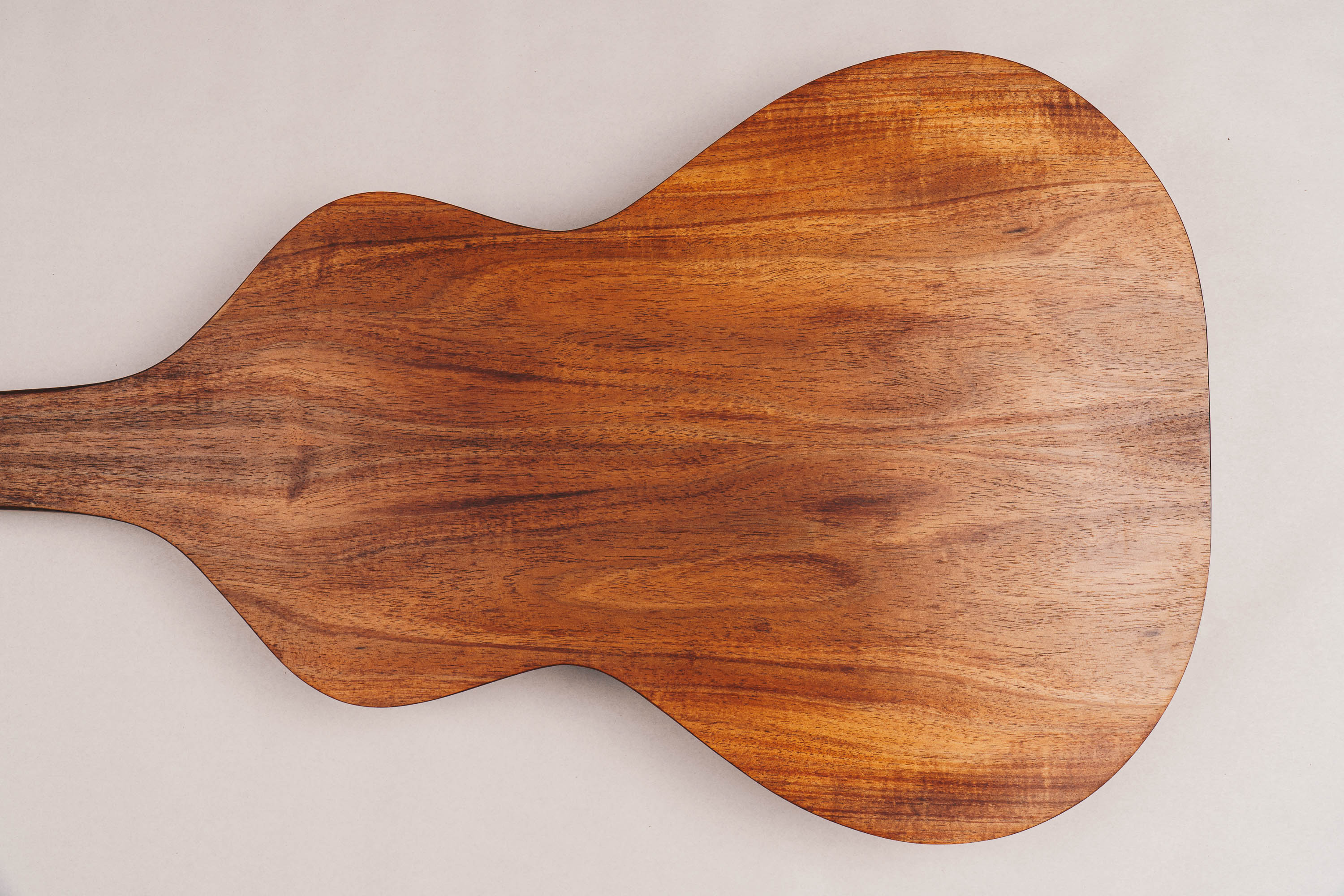 Tasmanian Blackwood