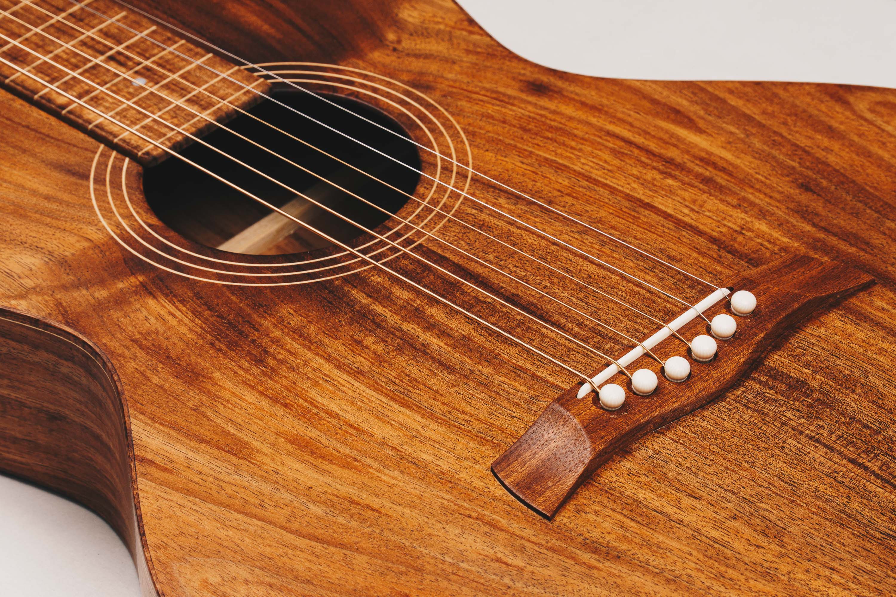 Tasmanian Blackwood