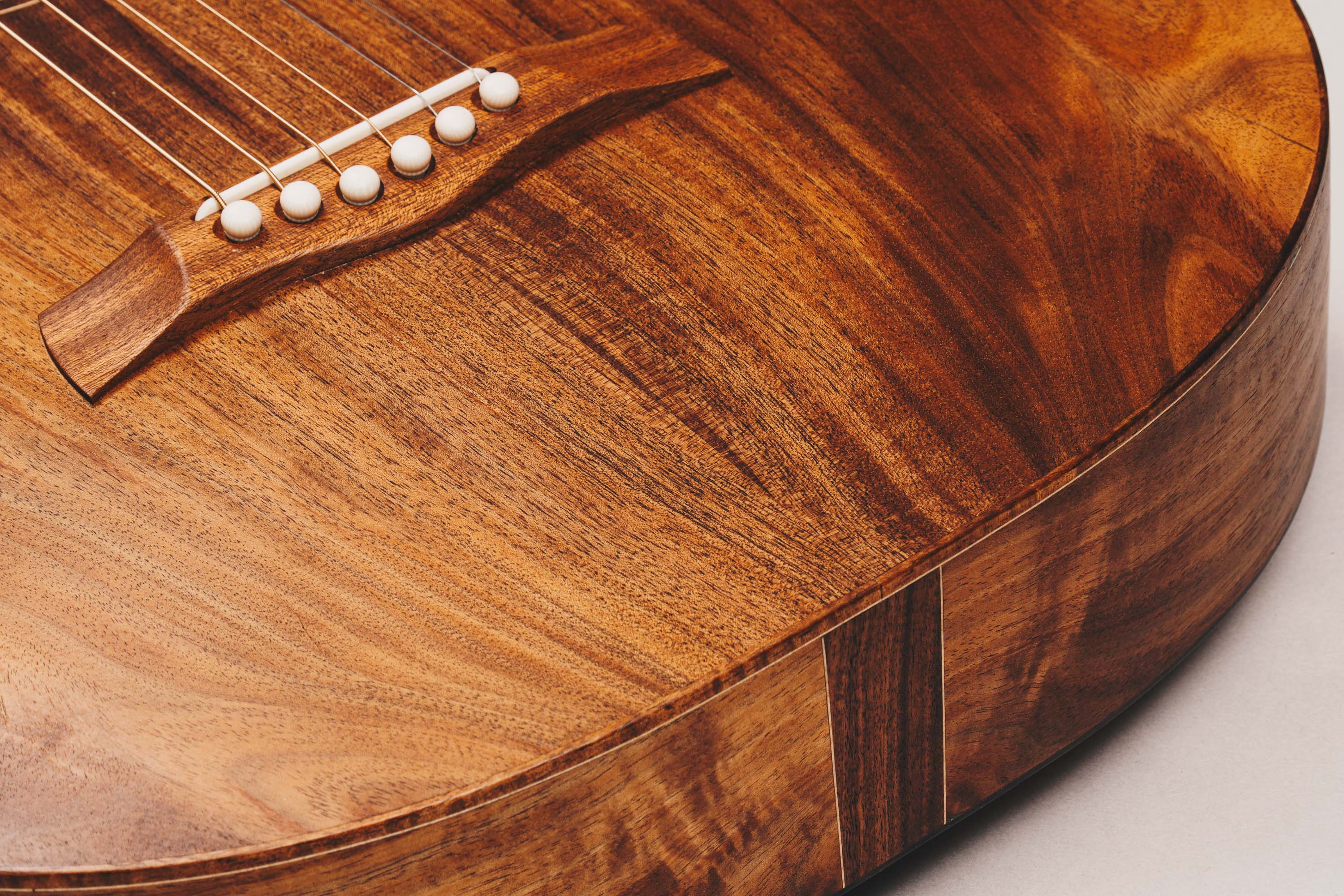 Tasmanian Blackwood